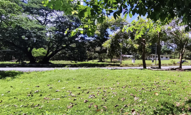 Se vende finca de 5 Hectáreas con 500mt2 Interamericana La Chorrera