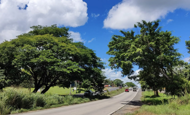 Se vende finca de 5 Hectáreas con 500mt2 Interamericana La Chorrera