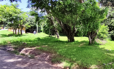 Se vende finca de 5 Hectáreas con 500mt2 Interamericana La Chorrera