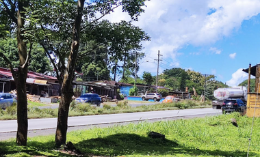 Se vende finca de 5 Hectáreas con 500mt2 Interamericana La Chorrera