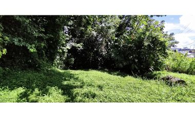 Se vende finca de 5 Hectáreas con 500mt2 Interamericana La Chorrera