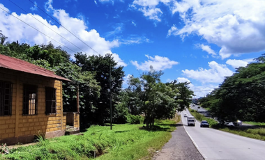 Se vende finca de 5 Hectáreas con 500mt2 Interamericana La Chorrera