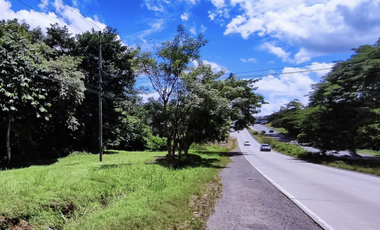 Se vende finca de 5 Hectáreas con 500mt2 Interamericana La Chorrera