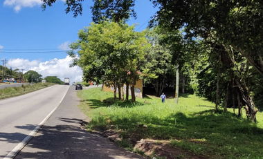 Se vende finca de 5 Hectáreas con 500mt2 Interamericana La Chorrera