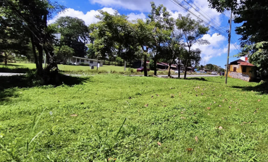 Se vende finca de 5 Hectáreas con 500mt2 Interamericana La Chorrera