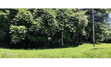 Se vende finca de 5 Hectáreas con 500mt2 Interamericana La Chorrera