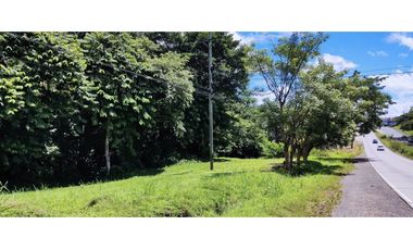 Se vende finca de 5 Hectáreas con 500mt2 Interamericana La Chorrera