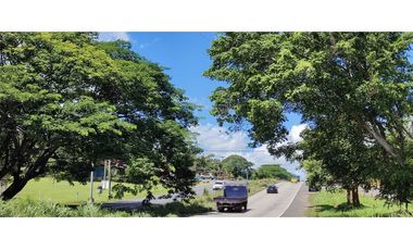 Se vende finca de 5 Hectáreas con 500mt2 Interamericana La Chorrera