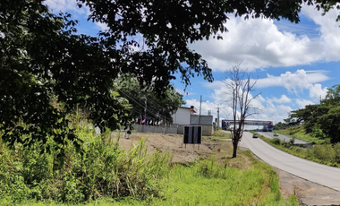 Se vende finca de 5 Hectáreas con 500mt2 Interamericana La Chorrera