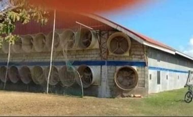 1 hectare operational poultry farm in Rosario Batangas