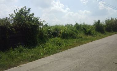 Land for sale in Malvar Batangas