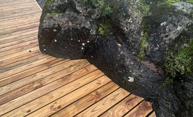 Parcelas con vista y acceso al Lago Ranco