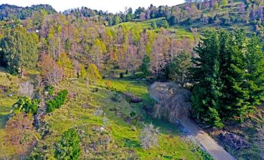 Parcelas con vista y acceso al Lago Ranco