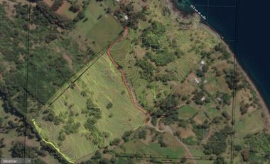 Parcelas con vista y acceso al Lago Ranco