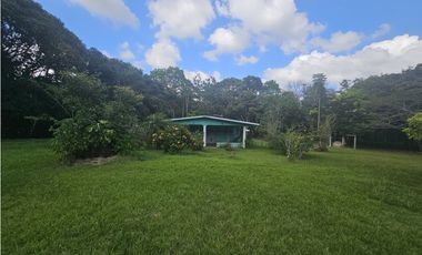 Se Vende Finca de 1.5 has en Espino, Panamá Oeste