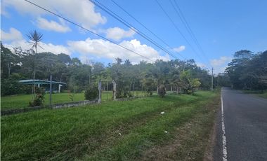 Se Vende Finca de 1.5 has en Espino, Panamá Oeste