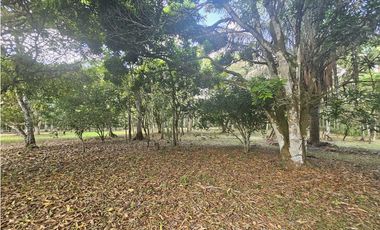 Se Vende Finca de 1.5 has en Espino, Panamá Oeste