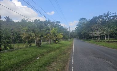 Se Vende Finca de 1.5 has en Espino, Panamá Oeste