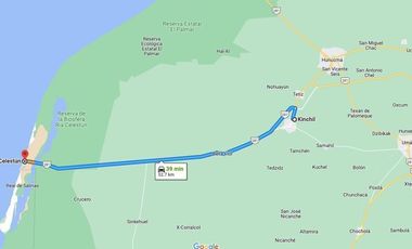 Terreno en Venta / Kinchil, Yucatán -11.44ha