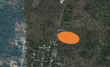 Terreno en Venta / Kinchil, Yucatán -11.44ha