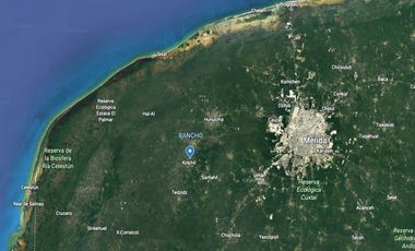 Terreno en Venta / Kinchil, Yucatán -11.44ha