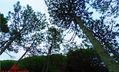 VENTA CARILÓ CASA 4 AMBIENTES