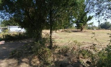 Parcela en Venta en 14 km desde Conservas Castillos camino a Pedregal, 10 Km por camino pavimentado y resto ripio.