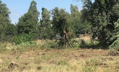 Parcela en Venta en 14 km desde Conservas Castillos camino a Pedregal, 10 Km por camino pavimentado y resto ripio.