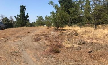 Parcela en Venta en 14 km desde Conservas Castillos camino a Pedregal, 10 Km por camino pavimentado y resto ripio.