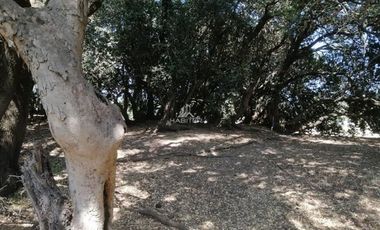 Parcela en Venta en 14 km desde Conservas Castillos camino a Pedregal, 10 Km por camino pavimentado y resto ripio.