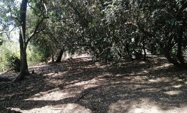 Parcela en Venta en 14 km desde Conservas Castillos camino a Pedregal, 10 Km por camino pavimentado y resto ripio.