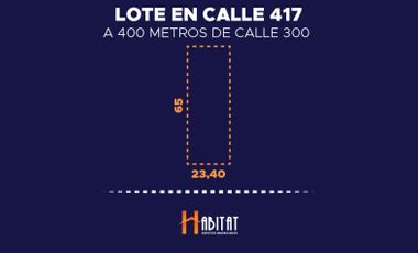 Calle 417 - 23,40x65