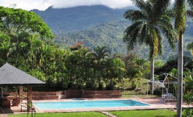 finca en venta en quebradagrande. Cod V12354