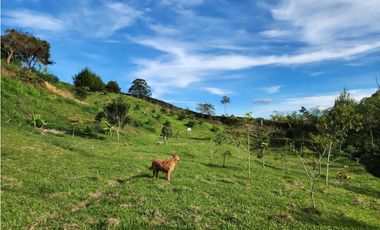 LOTE GUARNE VEREDA JUAN XXIII CON AGUA PROPIA