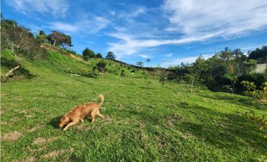 LOTE GUARNE VEREDA JUAN XXIII CON AGUA PROPIA