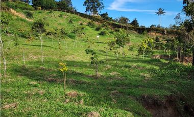 LOTE GUARNE VEREDA JUAN XXIII CON AGUA PROPIA