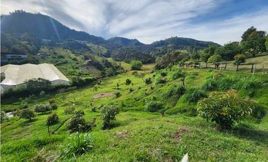 LOTE GUARNE VEREDA JUAN XXIII CON AGUA PROPIA