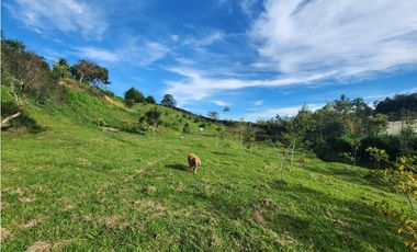 LOTE GUARNE VEREDA JUAN XXIII CON AGUA PROPIA