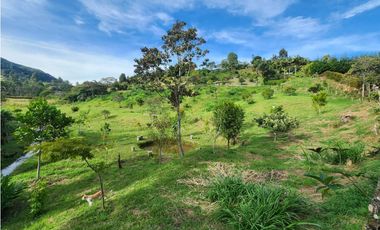LOTE GUARNE VEREDA JUAN XXIII CON AGUA PROPIA
