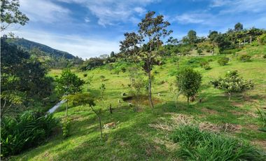 LOTE GUARNE VEREDA JUAN XXIII CON AGUA PROPIA