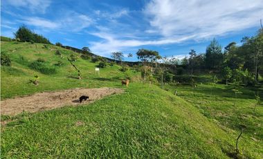 LOTE GUARNE VEREDA JUAN XXIII CON AGUA PROPIA