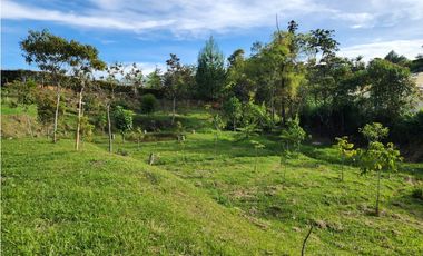 LOTE GUARNE VEREDA JUAN XXIII CON AGUA PROPIA