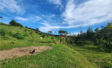 LOTE GUARNE VEREDA JUAN XXIII CON AGUA PROPIA