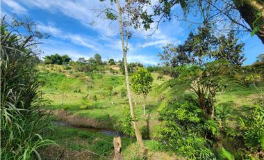 LOTE GUARNE VEREDA JUAN XXIII CON AGUA PROPIA