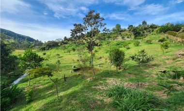 LOTE GUARNE VEREDA JUAN XXIII CON AGUA PROPIA