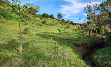 LOTE GUARNE VEREDA JUAN XXIII CON AGUA PROPIA