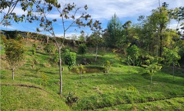 LOTE GUARNE VEREDA JUAN XXIII CON AGUA PROPIA