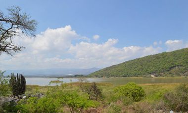 Excelentes terrenos en venta en Turtle Lake.