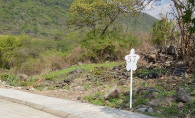 Excelentes terrenos en venta en Turtle Lake.
