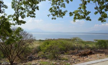 Excelentes terrenos en venta en Turtle Lake.